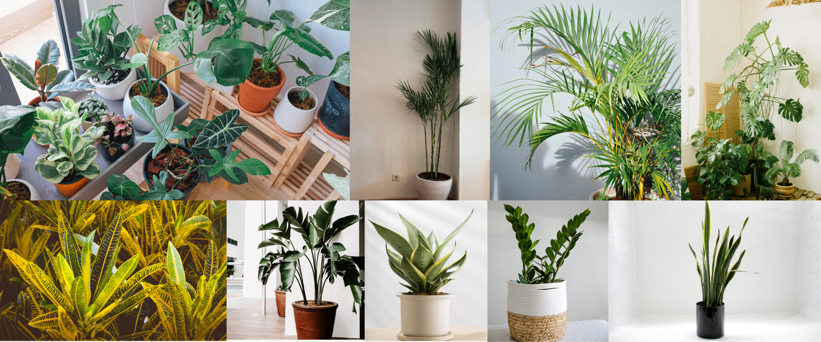 Well Come Our Nursery (1)